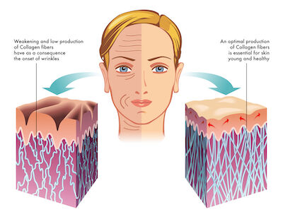 anti aging növekedési faktorok az arc számára