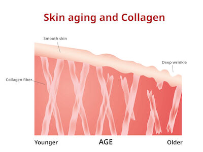 anti aging növekedési faktorok az arc számára